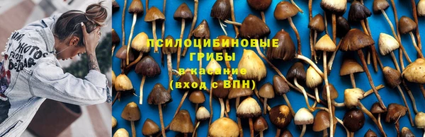 mdma Приозерск